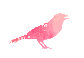 Petits animaux